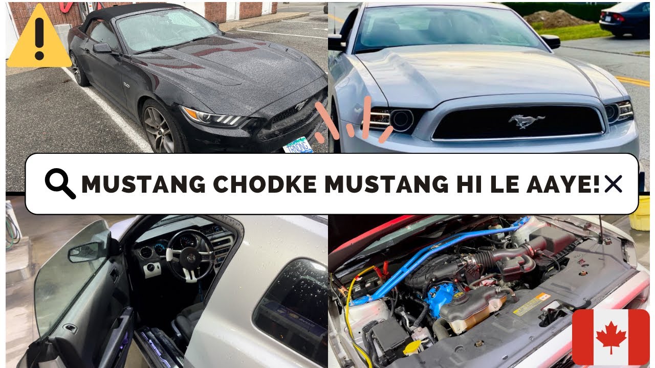 MUSTANG 🐎 CHOD KE MUSTANG 🔥HI UTHA LI! 🚘 #mustang #canada #piyushgera