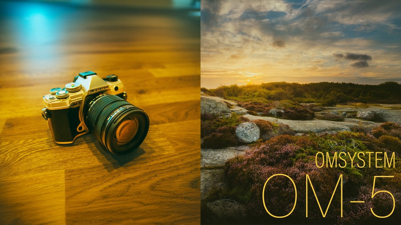 A Love Letter to the OM SYSTEM OM-5