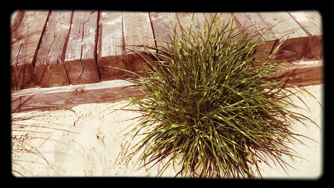 Garten Ideen Sand Gräser Terrasse Findlinge