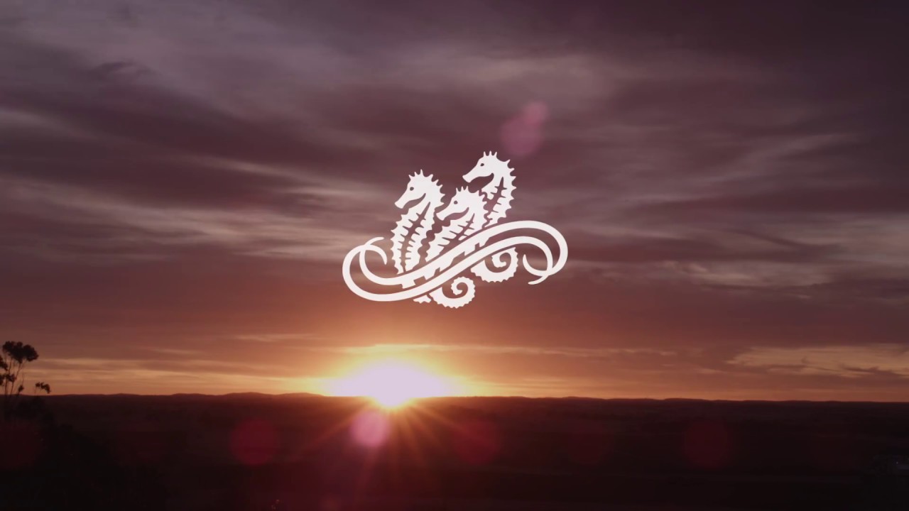 Taylors Wines: Our Story