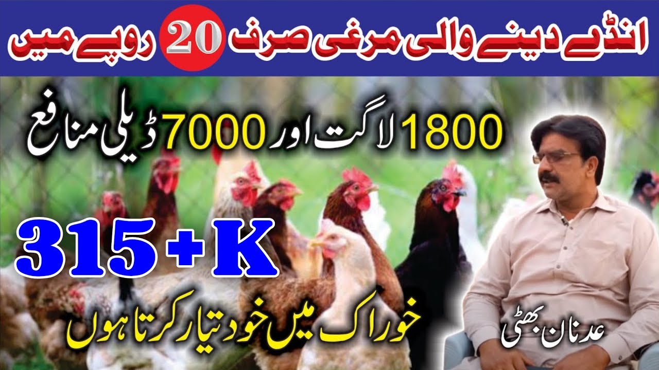 Cage free Poultry Farming Business and Ideas 2020