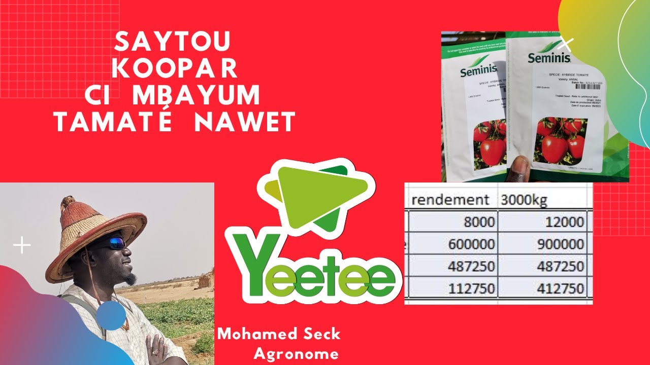Saytu koopar nguir mbay tamaté nawet