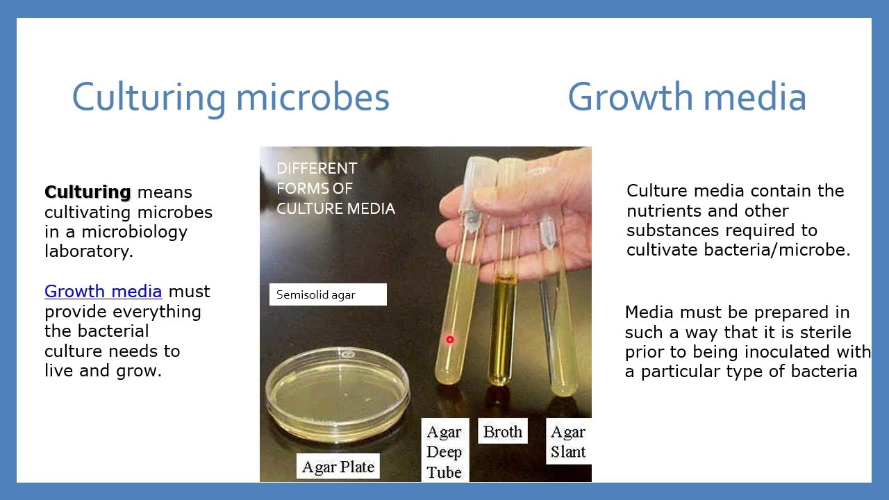 Aerobic culture techniques | Culture methods | Microbiology | Basic microbial techniques