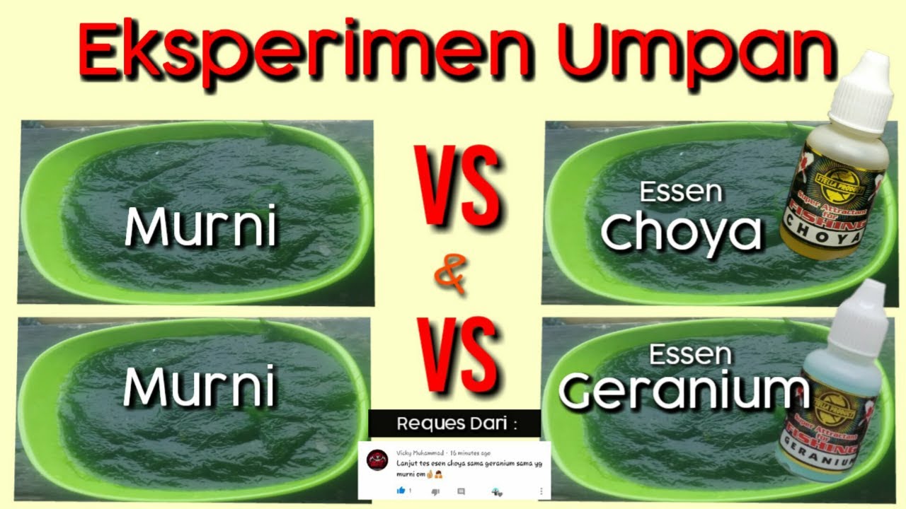 TES UMPAN Dengan Kamera Bawah Air | LUMUT MURNI VS Essen CHOYA & GERANIUM