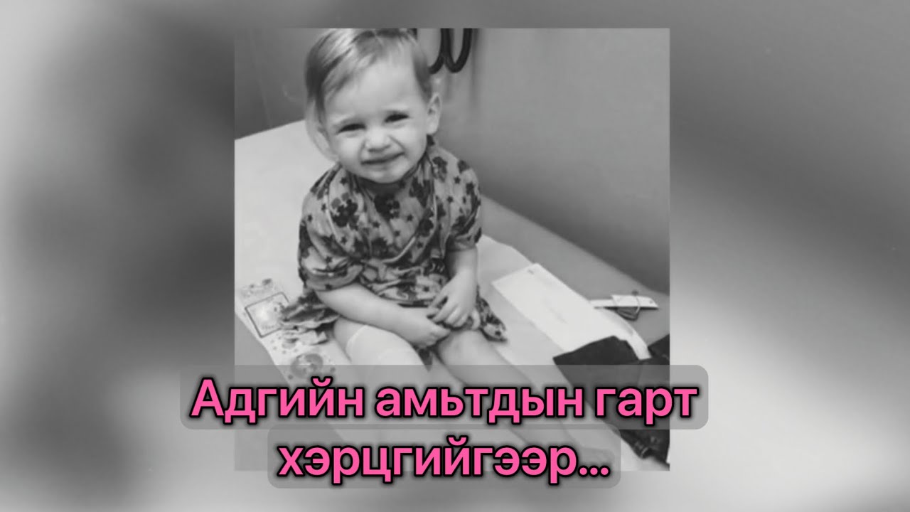 [БОЛСОН ЯВДАЛ, ГЭМТ ХЭРЭГ] Ийм адгийн амьтад бас байдаг аа?