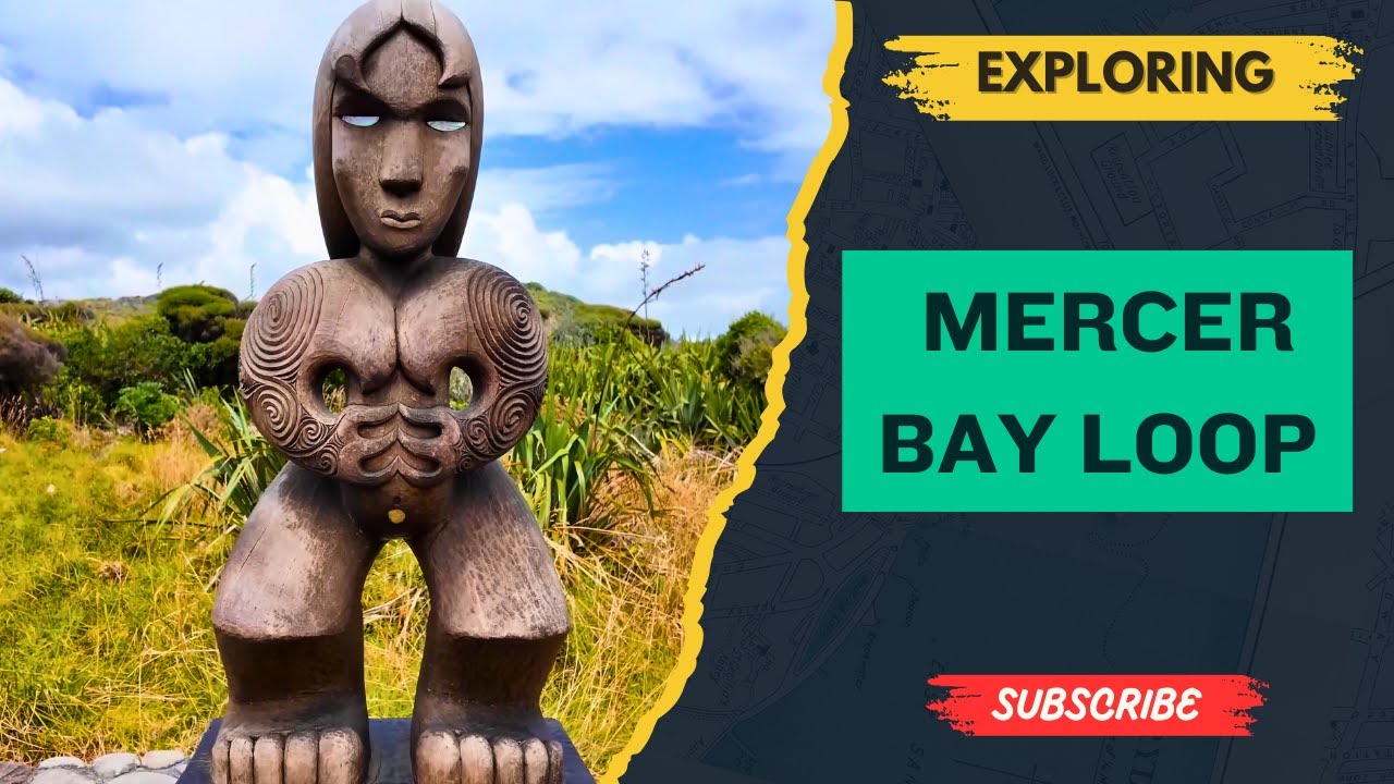 Mercer Bay loop track drone view and walking tour