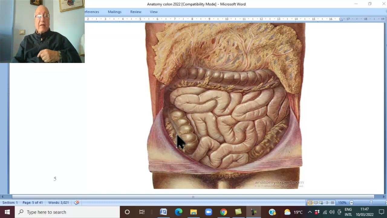 Anatomy GIT Module in Arabic  37 ( Caecum ) ,  by Dr, Wahdan