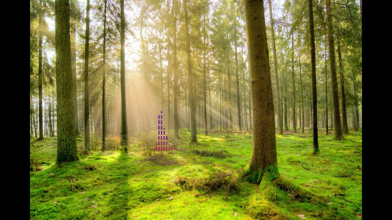 playlist I 나를 치유하는 시간, 내면의 고요 속으로 여행을