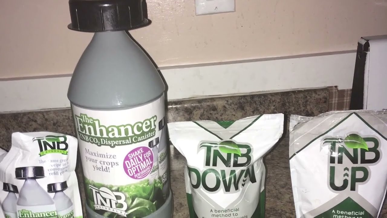 Green State Med Grower - Short Garden Tour #tnbnaturals #co2  #pHup #pHdown