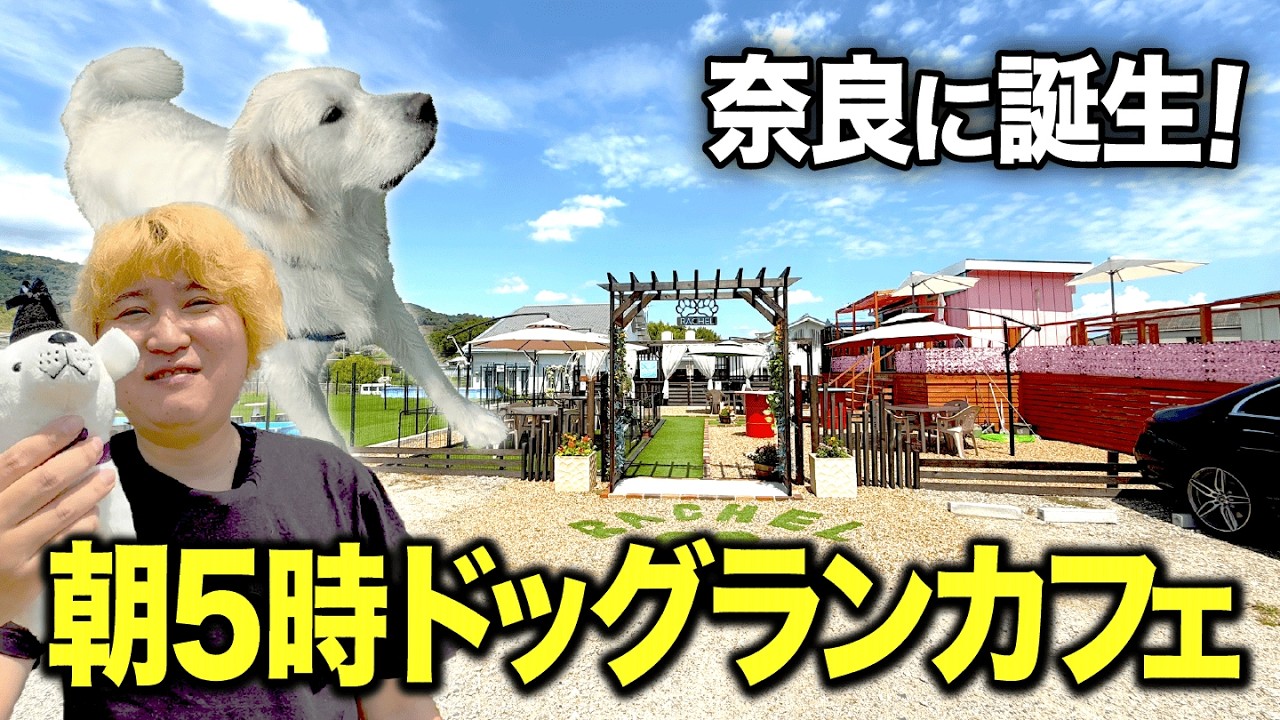 【新店】奈良で朝5時から楽しめるアウトドアカフェが想像以上に凄すぎた！