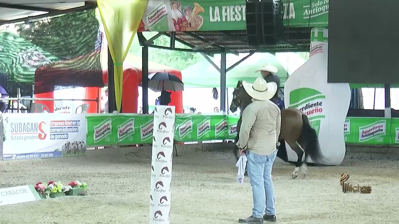 RULETA DE LA PLAYA, PRIMER PUESTO 48 A 60 MESES TROTE Y GALOPE LOS POTRILLOS MONTERÍA GRADO B 2026