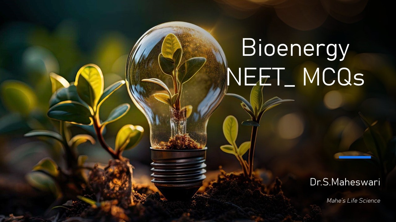 Bioenergy _ NEET MCQs