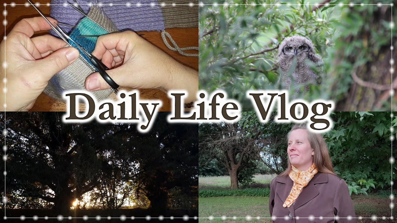 Serenity Scarf, new projects and Daily Life on the Farm #knitting #homemaking