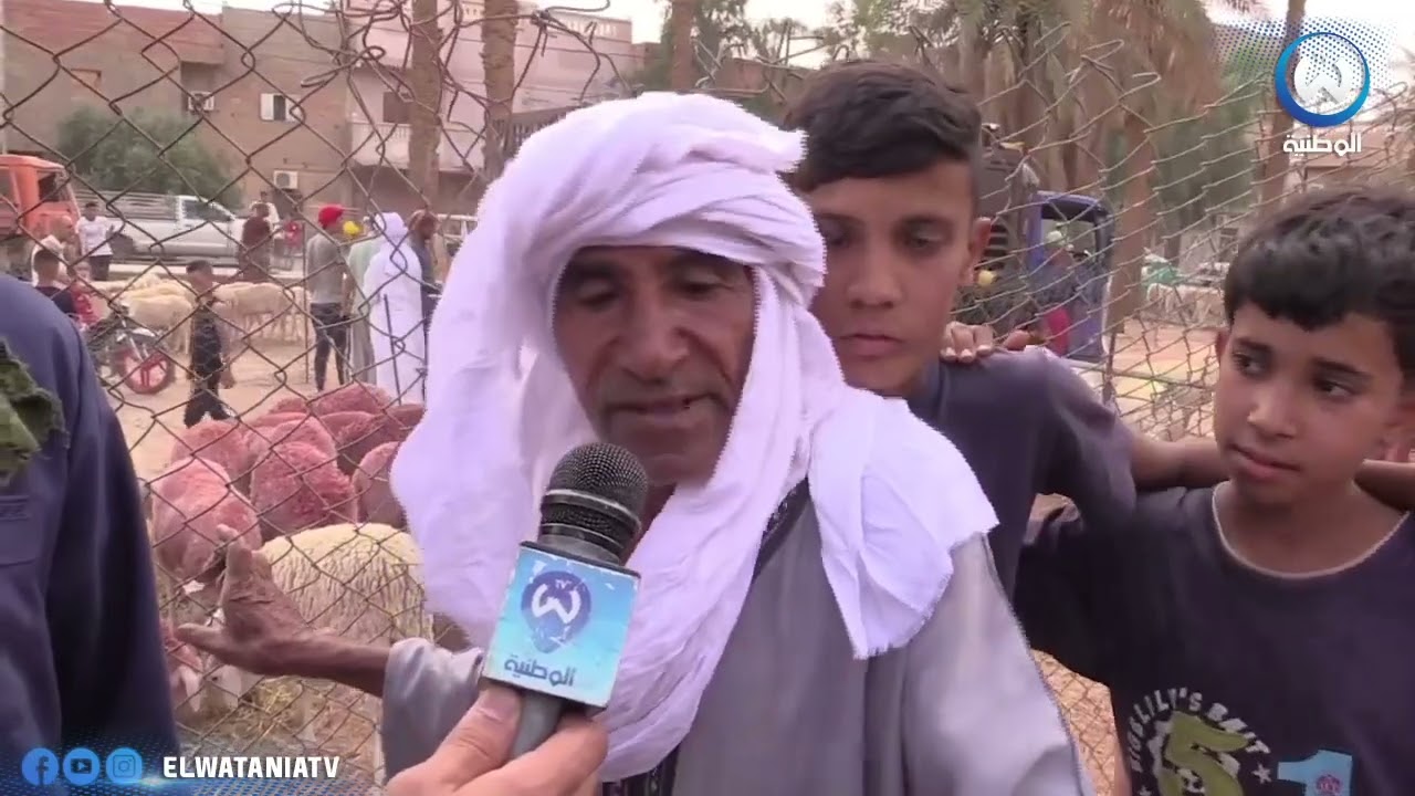 إرتفاع جنوني عرفته اسواق الماشية لولاية بشار