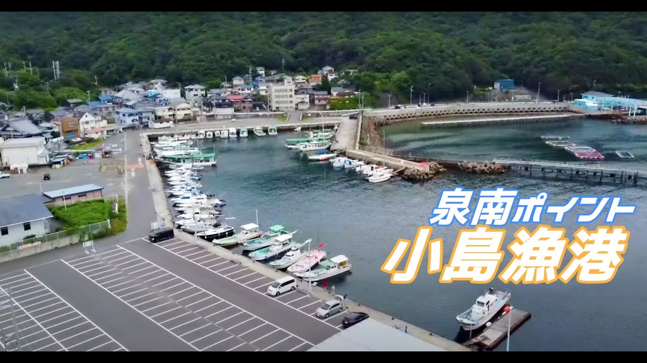 小島漁港 大阪最南端に魚影の濃いポイントあり！　青物の回遊もあり！
