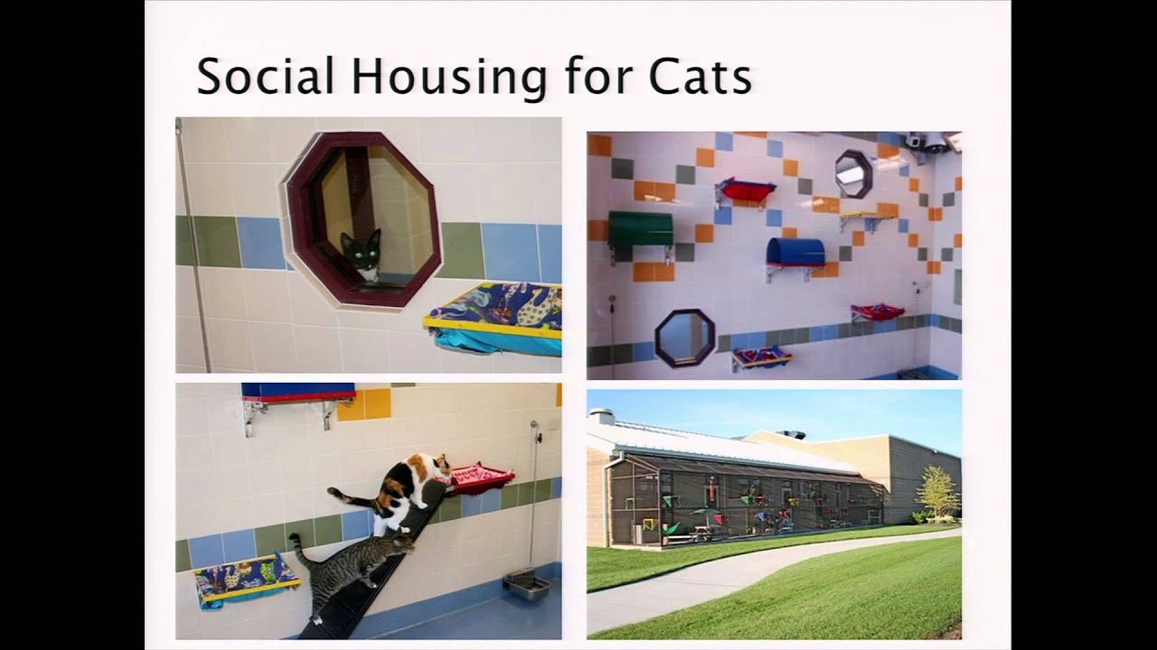 A Historical Perspective on Social Housing