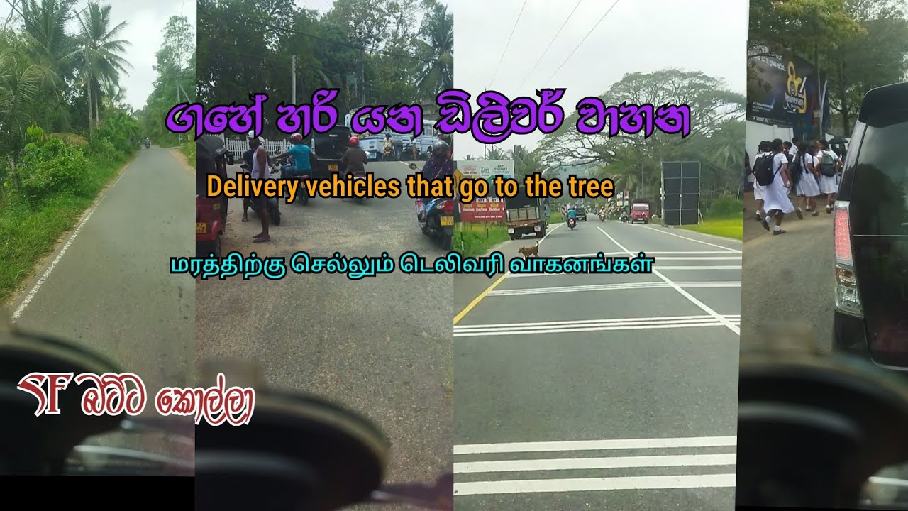 ගහේ හරි යන වාහන  අපේ  Delivery vehicles that go to the tree  மரத்திற்கு செல்லும் டெலிவரி வாகனங்கள்