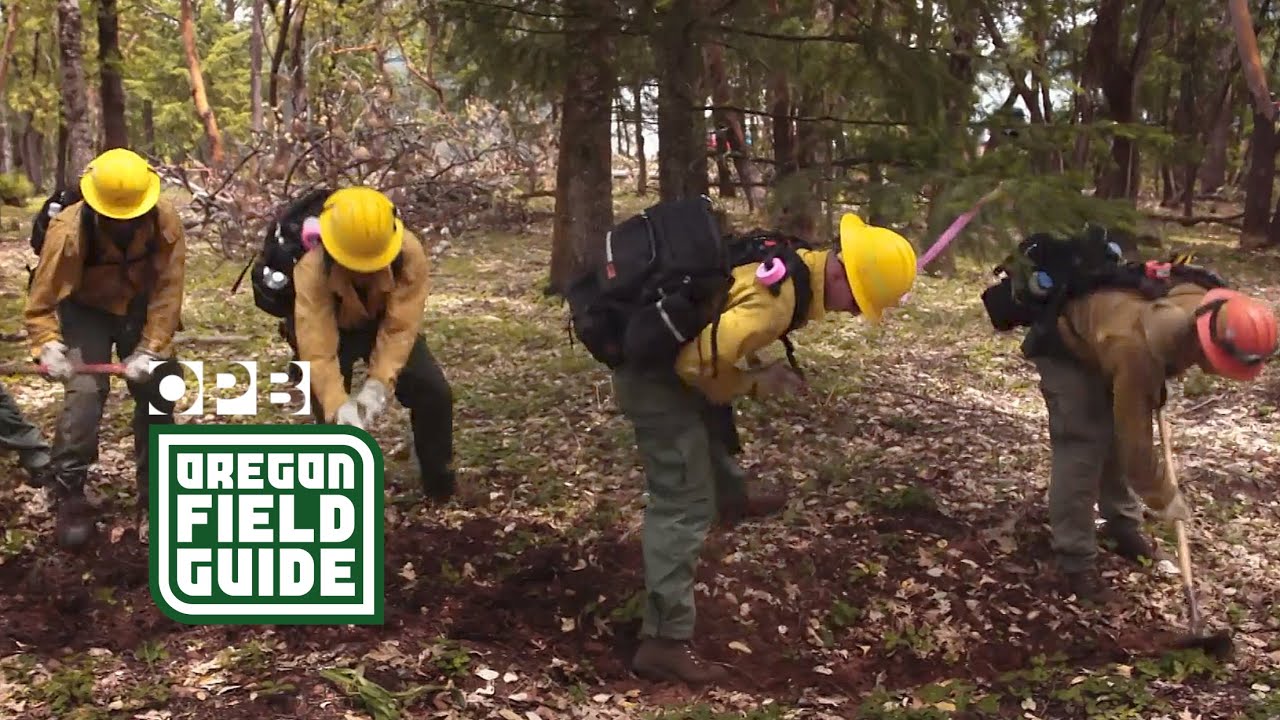 Fighting Oregon's wildfire and the coronavirus | Oregon Field Guide