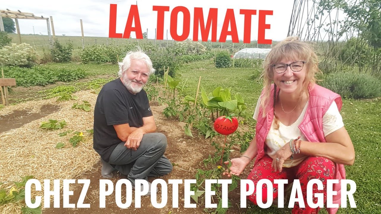 TOUT SUR LA TOMATE, DE LA GRAINE À LA CONSERVE