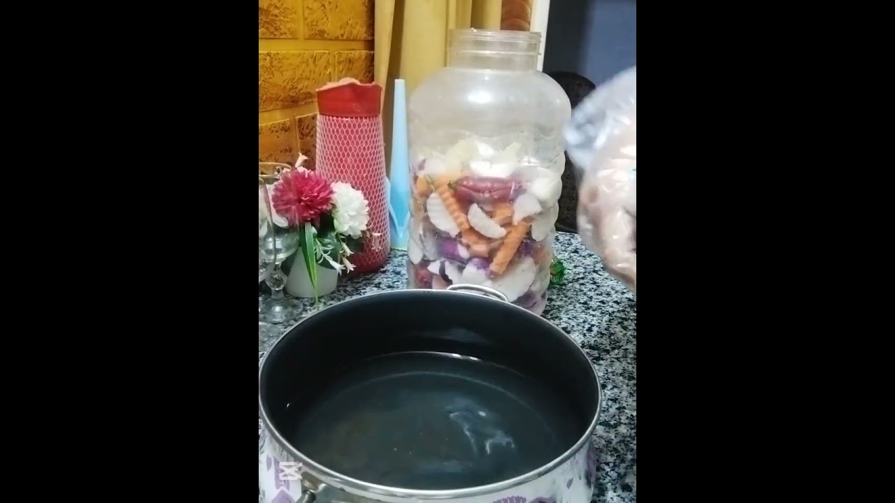 ١٥ يناير ٢٠٢٦