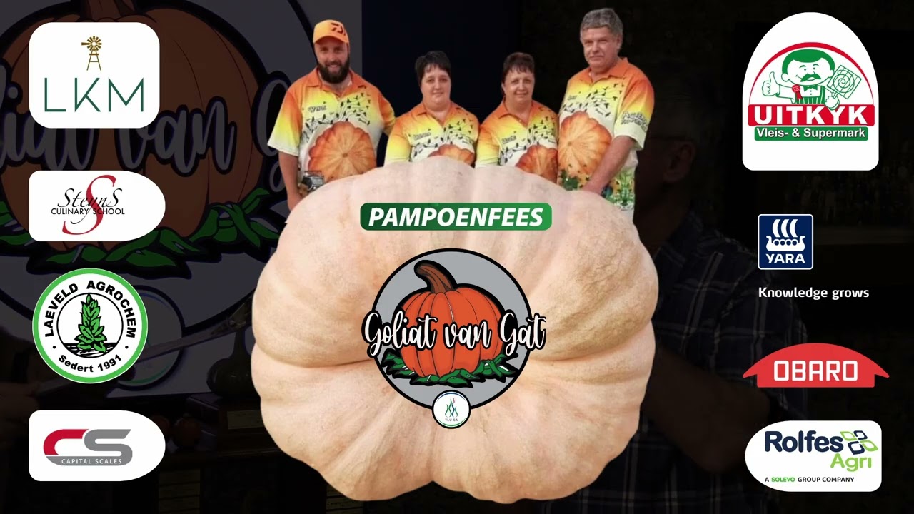 Goliat van Gat Pampoenfees