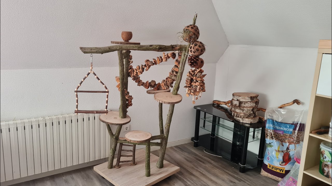 Baccis Bastelwelt; Bau eines Freisitzes für die Halsbandsittiche 🦜