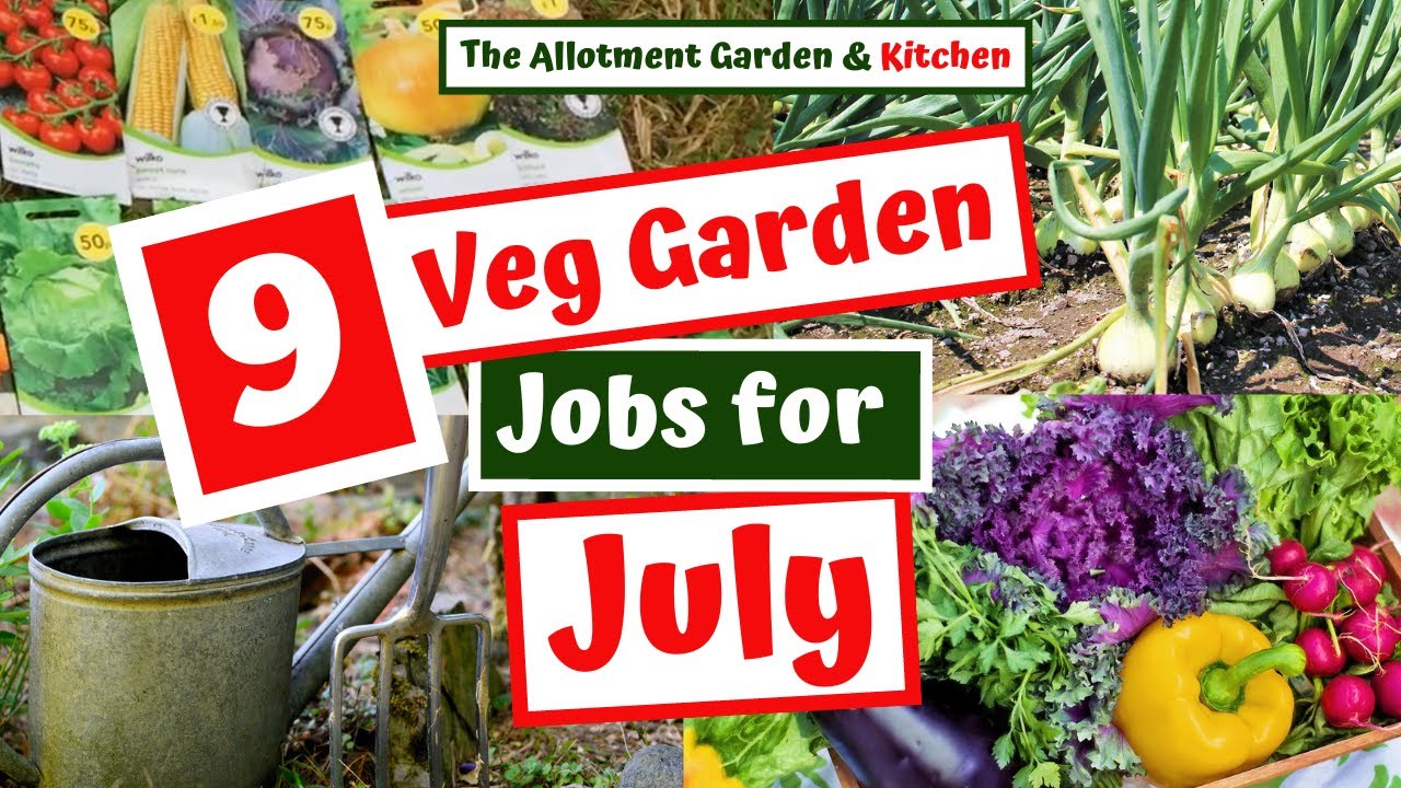 Vegetable Garden/Allotment Jobs in July - Jobs to Jog your Memory During a Very Busy Period! #90