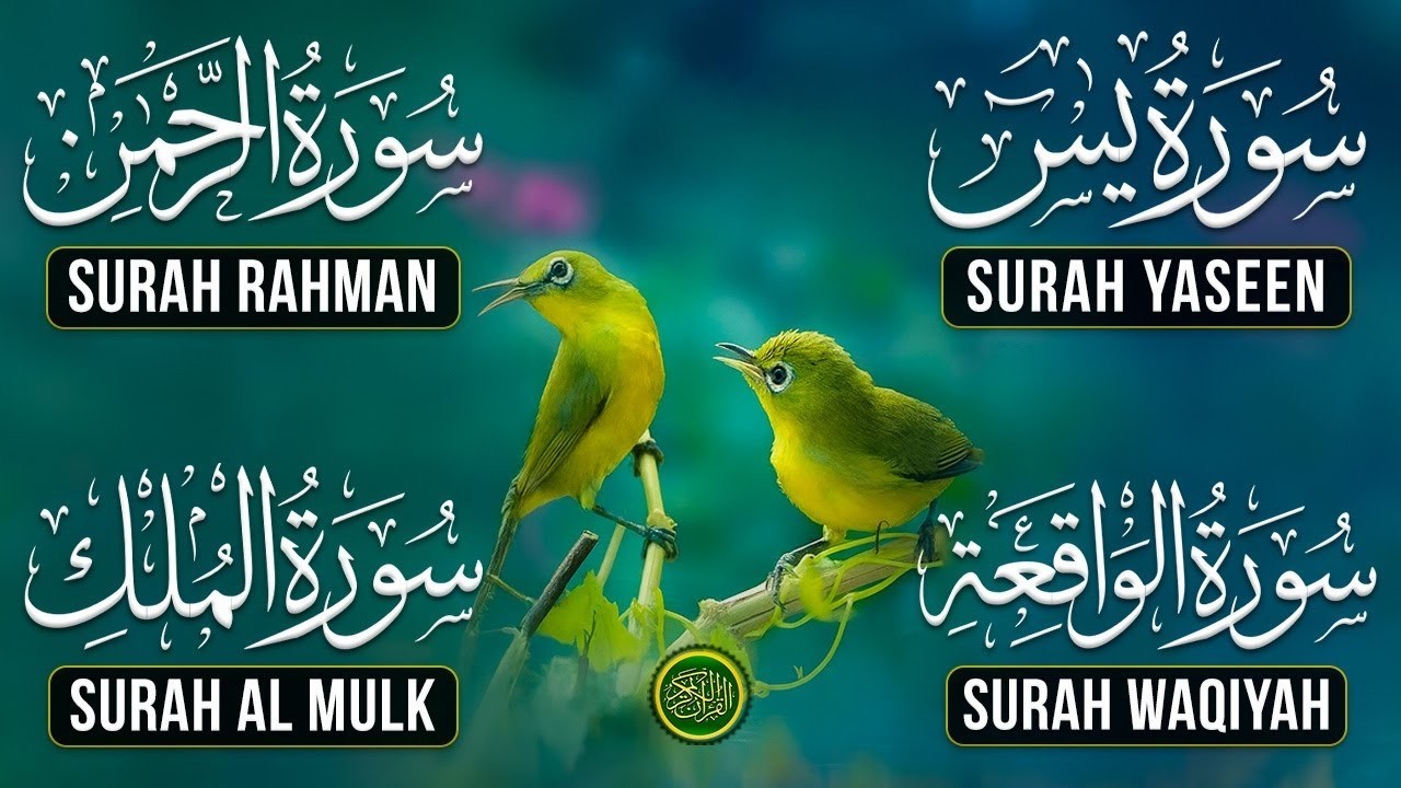 Full Quran Healing Recitation | Surah Yasin Rahman Waqiah Mulk | 4K HD