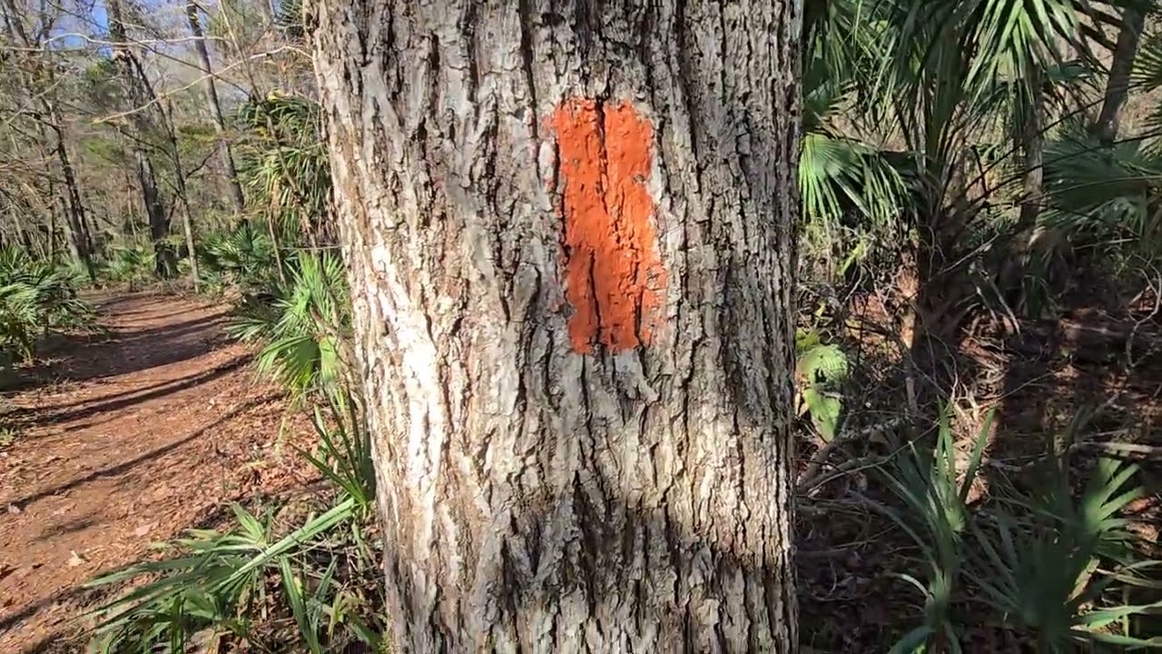 Marshall Swamp Trail head day hike January 5,2025