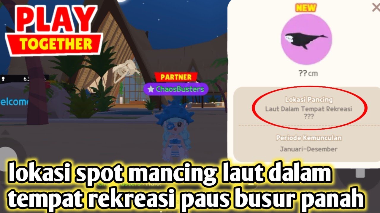 lokasi laut dalam rekreasi paus pusur panah play together
