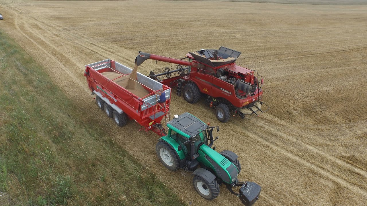 Żniwa 2015 Axial-Flow Case 7140, 6140 HD (Dąbrowa, Nowica)