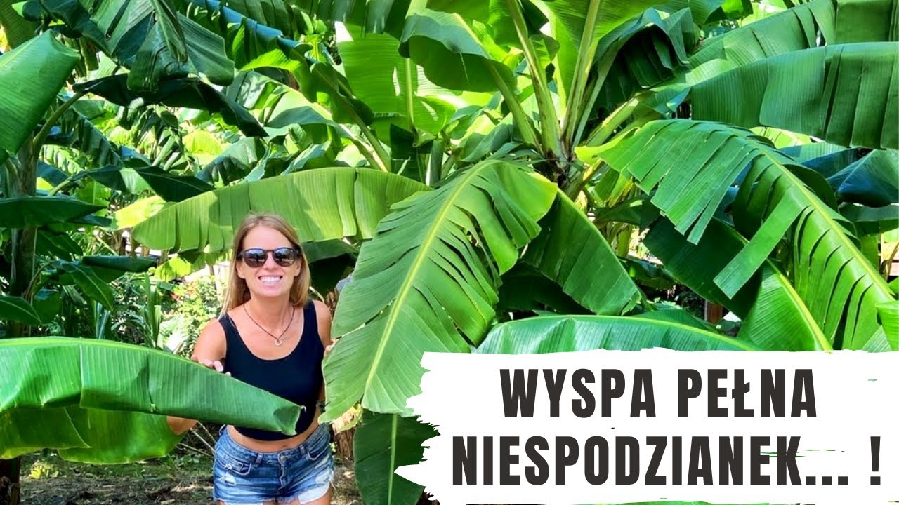 WYSPA PEŁNA NIESPODZIANEK! Saint Martin, Karaiby 2021