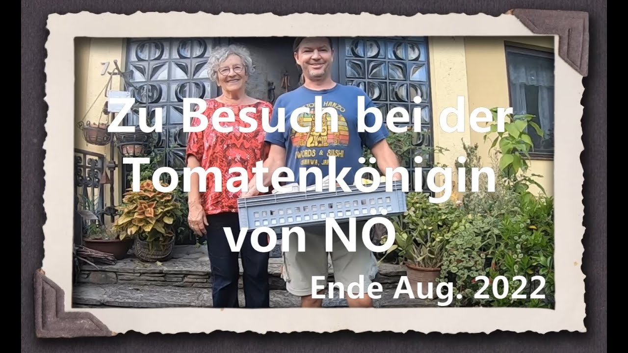 Zu Besuch bei der Tomatenkönigin von NÖ 2022