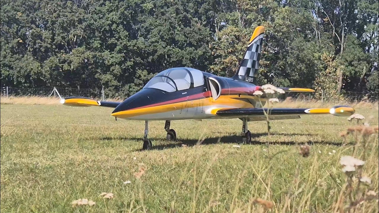 RC L-39 Albatros 