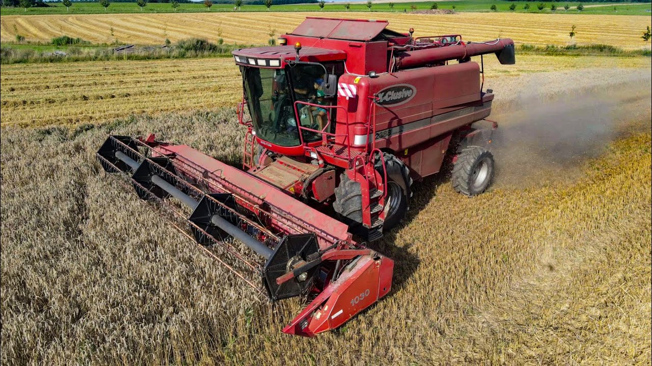 Žně 2021 I Case IH 2388 I Wheat HARVEST 2021 I Maxxum 170