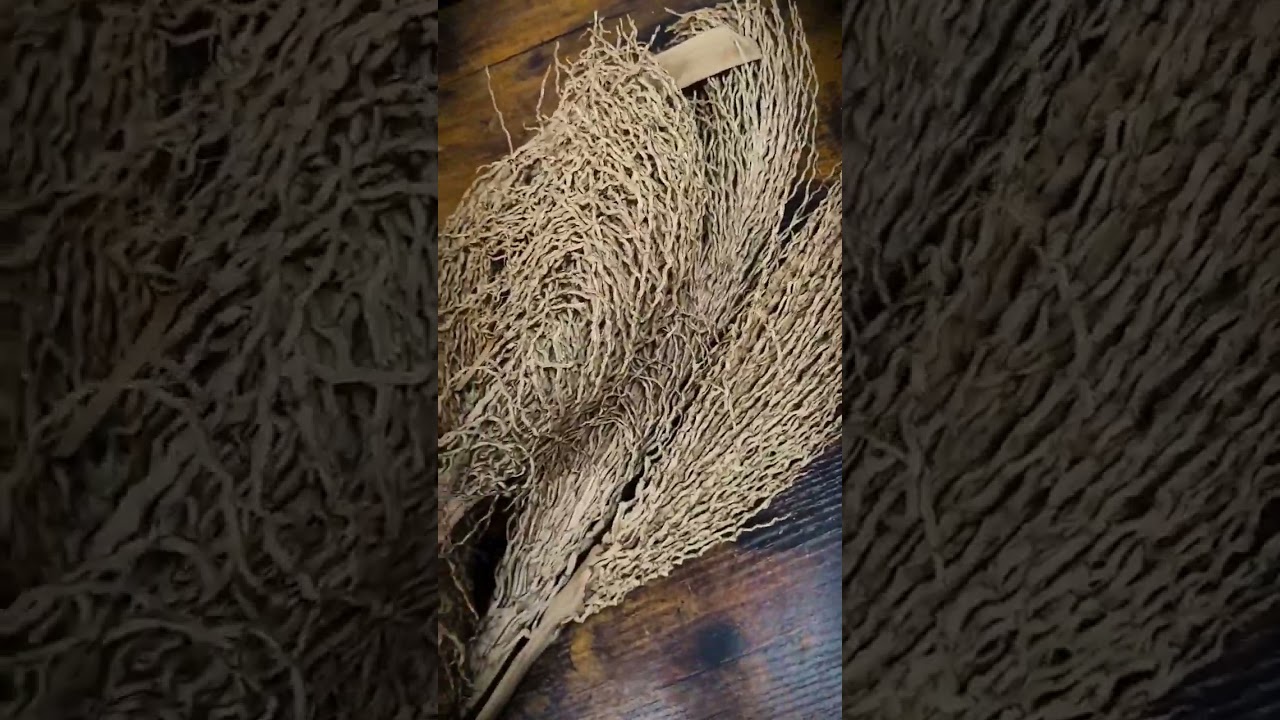 New In! Amazing Dried Palm Twirls 📦 