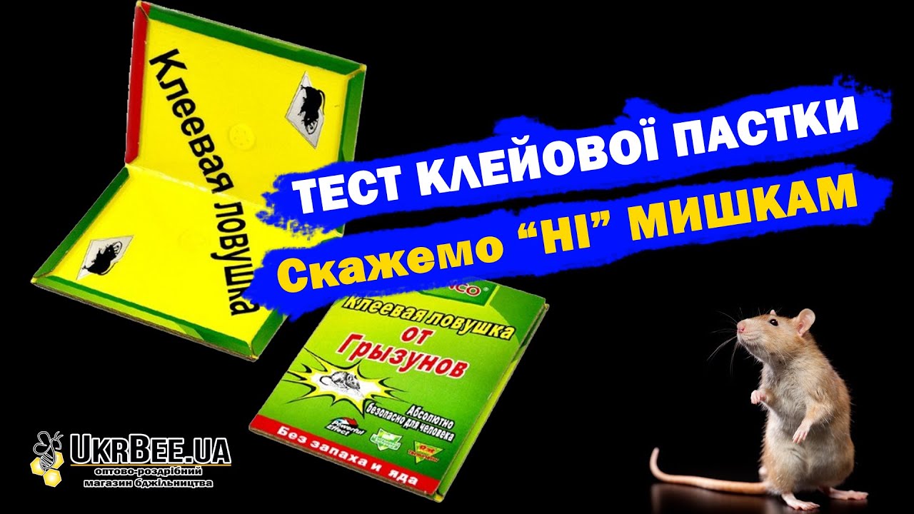 Клейова пастка маленька (книжка) - тестуємо