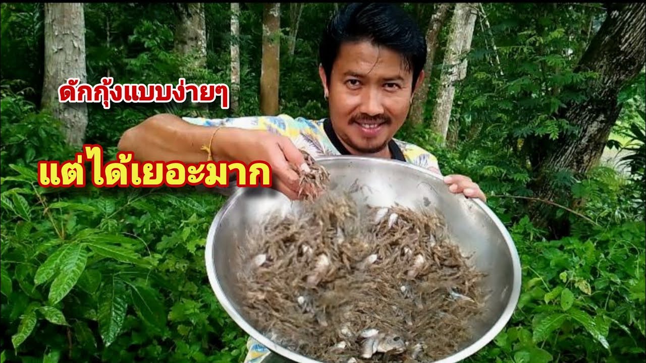 ดักกุ้งแบบง่ายๆ..แต่ได้เยอะมาก