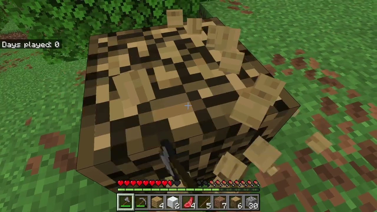 starting a home in minecraft.
