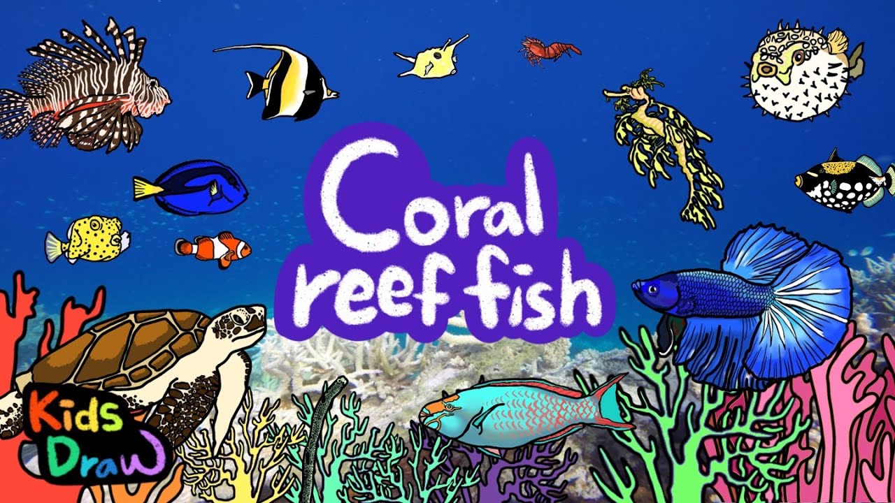 Coral Reef Fish | What kind of Animals live inside the coral reef? | Kids Draw