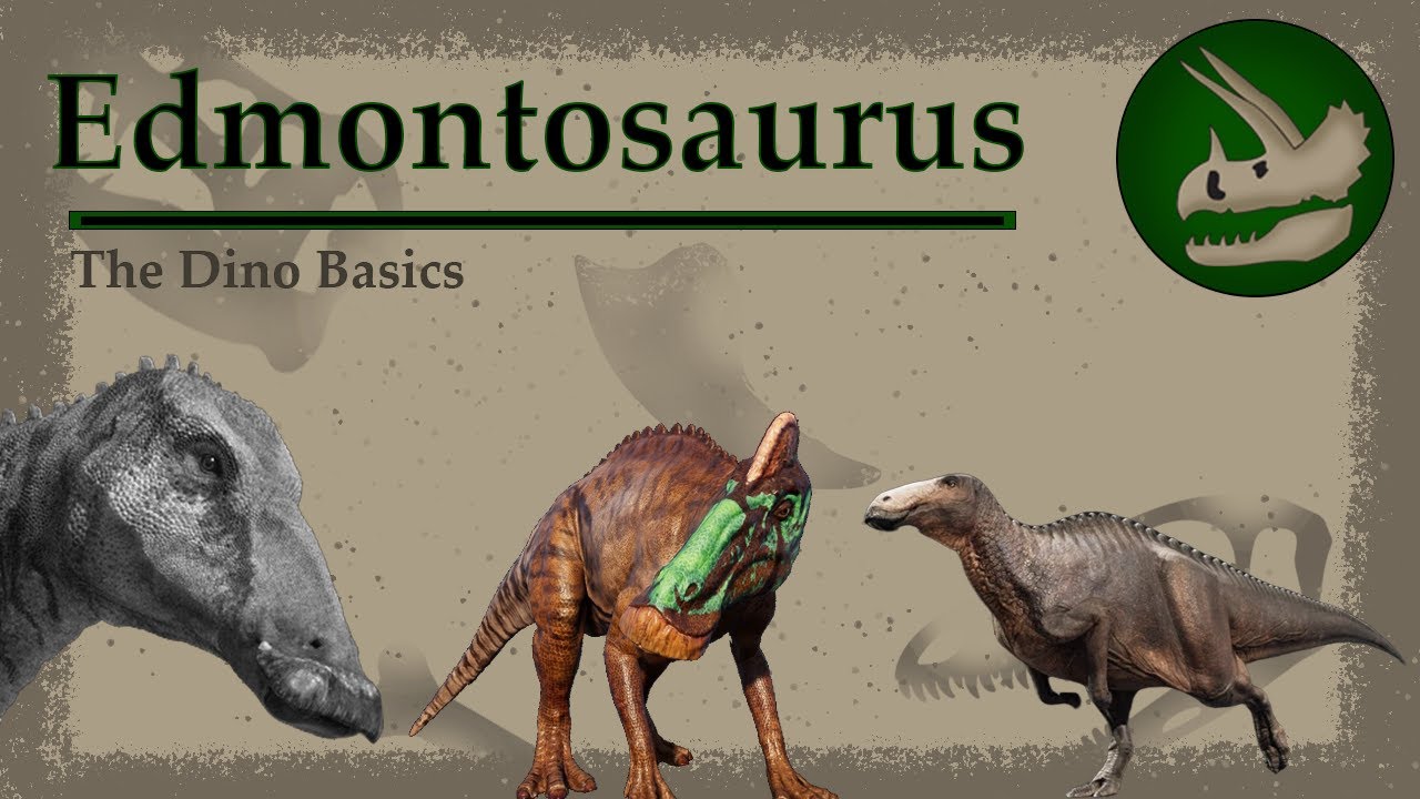 Эдмонтозавр | Последний из динозавров | Основы динозавров