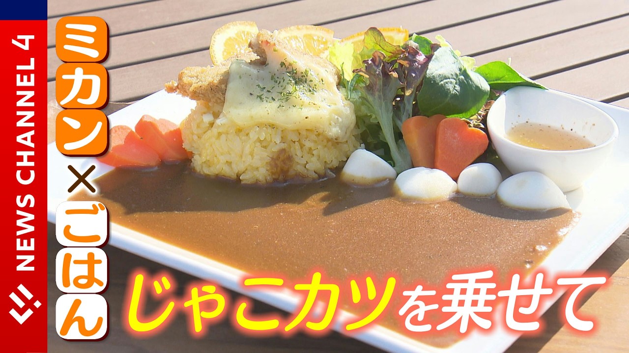 【松山道】“ミカンごはん”の上に“じゃこカツ”サービスエリアに高校生考案“カレー”＜NEWS CH.4＞