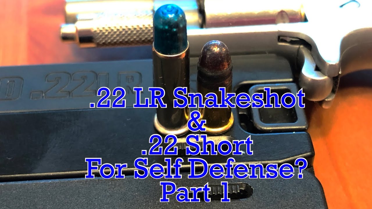 Using Snakeshot and 22 Short Rounds for Self Defense - Goggles vs. Ratshot & .22 Short - Part 1