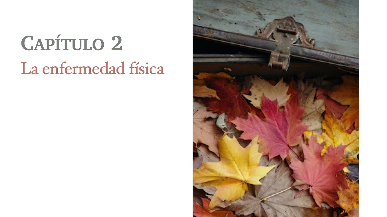 El Plan de tu Alma. Robert Schwartz. Capítulo 2. (audiolibro)
