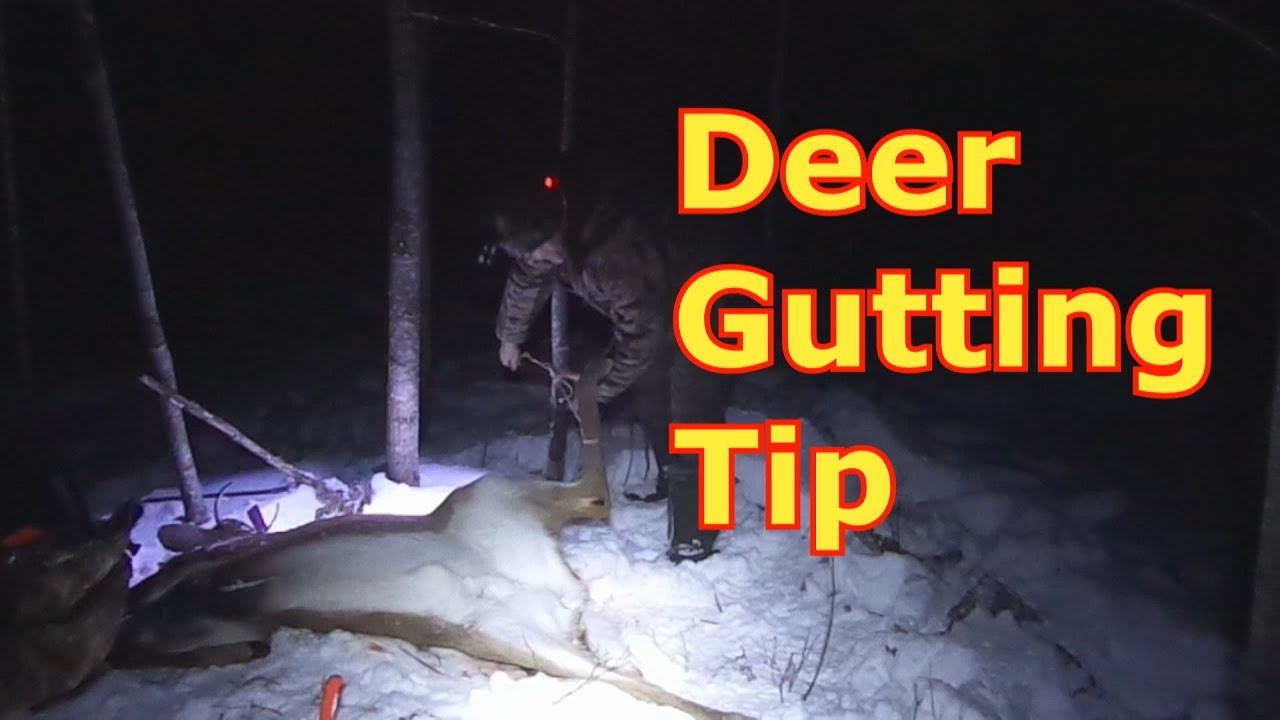 Gutting / Field Dressing A Deer Alone - Quick Tip