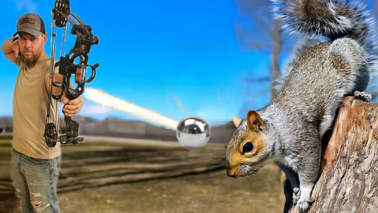 Squirrel Hunting with a Compound Bow that Shoots Ball Bearings 