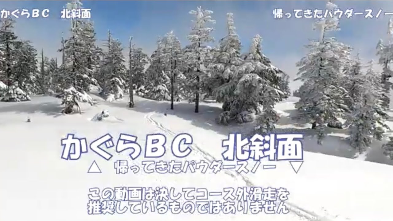かぐらBC北斜面　帰って来たパウダースノー　#スキー  #バックカントリー 