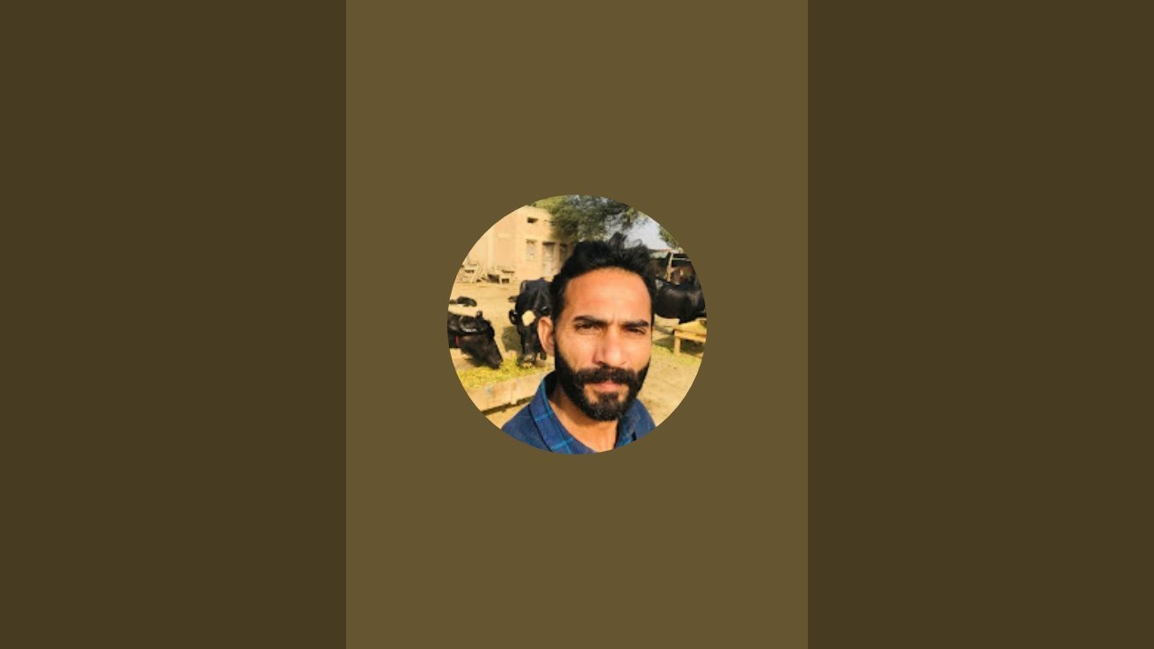 buffalo ki video animal nili Ravi ka kras