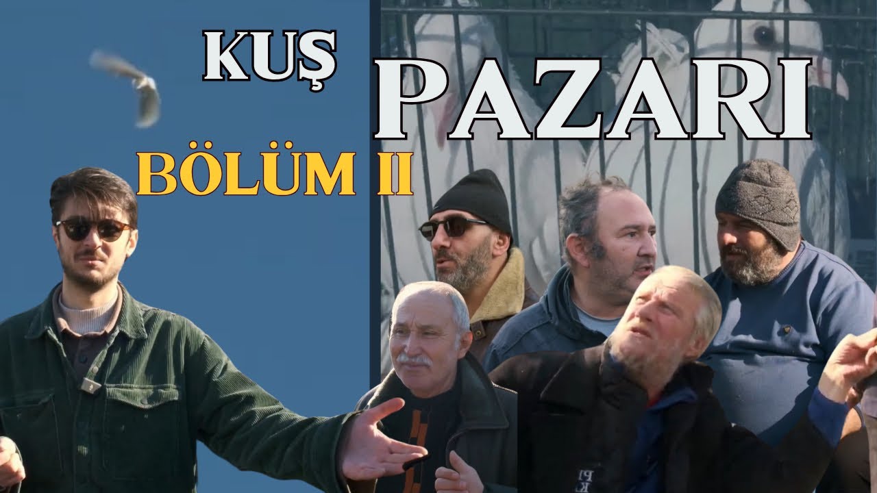 KUŞ PAZARI Bölüm 2 - güvercin türleri, köfte ekmek, kuşlar ve daha fazlası