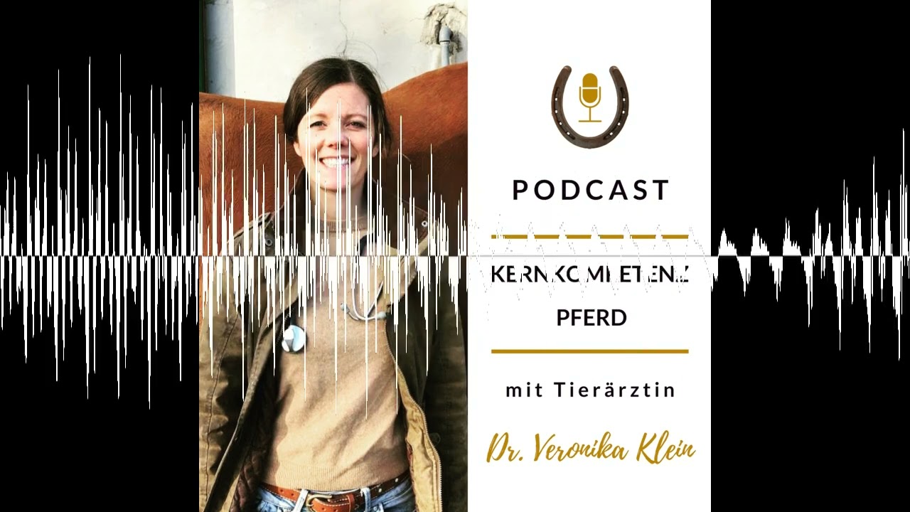 Pferdesattel anpassen: Wissenschaft trifft Praxis: Teil 1